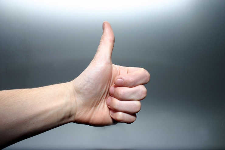 USER EXPERIENCE OF WEBSITE GIVEN THUMBS UP